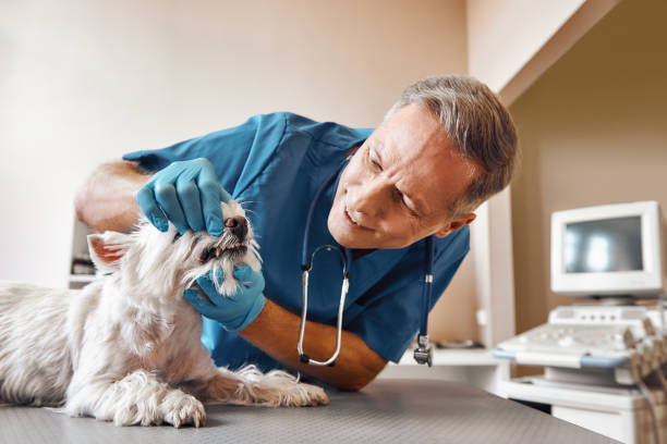 Best After-Hours Emergency Dentist in Oceano, CA